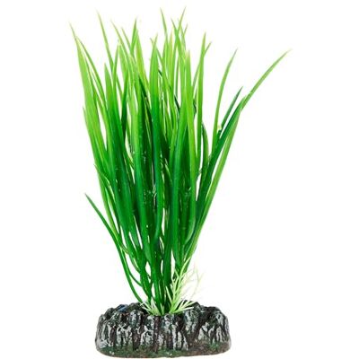 Hobby 41500 Cyperus, 16 cm Hobby 41500 Cyperus, 16 cm