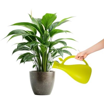 Zendea Gieter voor planten van robuust groen kunststof, 13,2 x 10,5 cm, ideaal voor de verzorging van planten en bloemen in de tuin, balkon of terras, lange en dunne schenktuit en inhoud 1,6 l Zendea Gieter voor planten van robuust groen kunststof, 13,2 x 10,5 cm, ideaal voor de verzorging van planten en bloemen in de tuin, balkon of terras, lange en dunne schenktuit en inhoud 1,6 l