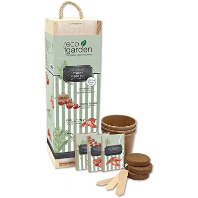 Feel Green WE CREATE NATURE ecogarden, verse Veggie Box, biologische zaden, planten uit de houten kist 35,5 x 10 x 10 cm, Made in Austria, duurzaam cadeau-idee, groeien je eigen/kweekset, hout Feel Green WE CREATE NATURE ecogarden, verse Veggie Box, biologische zaden, planten uit de houten kist 35,5 x 10 x 10 cm, Made in Austria, duurzaam cadeau-idee, groeien je eigen/kweekset, hout