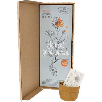 BloomPost Zaden Je bent goud Waard Uniek Brievenbus Cadeau BloomPost Zaden Je bent goud Waard Uniek Brievenbus Cadeau