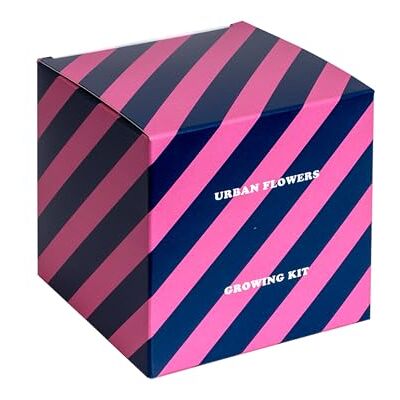 Resetea Urban Flowers Kweekset blauwe bloemen, zaadbom (blauw linnen, vergeet-mij-nietjes en korenbloem), origineel cadeau en ontspannende decoratie voor thuis, eenvoudig te kweken Resetea Urban Flowers Kweekset blauwe bloemen, zaadbom (blauw linnen, vergeet-mij-nietjes en korenbloem), origineel cadeau en ontspannende decoratie voor thuis, eenvoudig te kweken