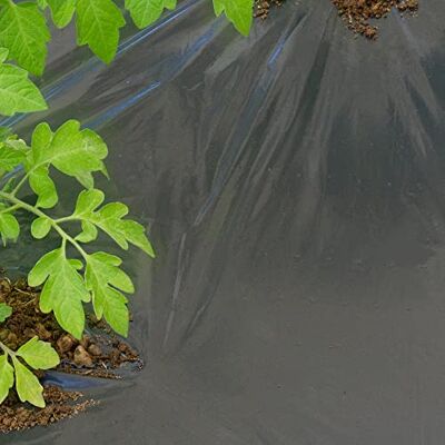 TENAX Dot Cover 1,50x20 m Zwart - Mulchfilm TENAX Dot Cover 1,50x20 m Zwart - Mulchfilm