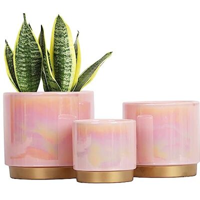 Gepege Roze kamerplantenpotten voor planten, keramische plantenbak met drainagegat, 15,2 cm + 5,0 inch+4,0 inch. Succulente orchidee bloempot Rainbow Pearl Glaze Gepege Roze kamerplantenpotten voor planten, keramische plantenbak met drainagegat, 15,2 cm + 5,0 inch+4,0 inch. Succulente orchidee bloempot Rainbow Pearl Glaze