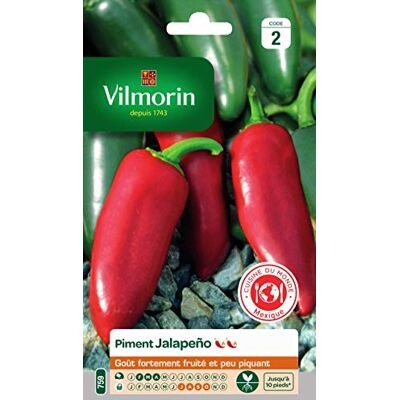 Vilmorin Jalapeno chili van Mexicaanse oorsprong sterk fruitige en weinig scherpe smaak Opmerking 5/10 op de schaal van Scoville Mexicaanse oorsprong, kracht 5/10 Scoville, weinig pittige fruitige smaak, vulling of salsa, blootstelling aan de zon Vilmorin Jalapeno chili van Mexicaanse oorsprong sterk fruitige en weinig scherpe smaak Opmerking 5/10 op de schaal van Scoville Mexicaanse oorsprong, kracht 5/10 Scoville, weinig pittige fruitige smaak, vulling of salsa, blootstelling aan de zon