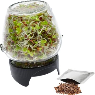 Browin ® Kiemglas voor het kweken van kiemspruiten, 580 ml, kiemglas met roosterdeksel, kiemapparaat voor tuinkers, alfalfa spruiten, rucola-zaden, inclusief radijszaden Browin ® Kiemglas voor het kweken van kiemspruiten, 580 ml, kiemglas met roosterdeksel, kiemapparaat voor tuinkers, alfalfa spruiten, rucola-zaden, inclusief radijszaden