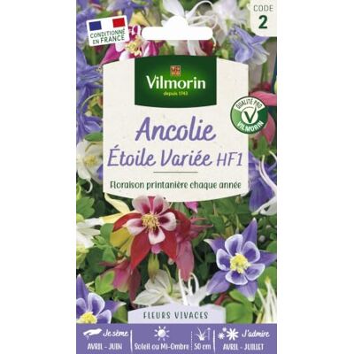 Vilmorin 5135842 Ancolie ster, gevarieerd, meerkleurig, 90 x 2 x 160 cm Vilmorin 5135842 Ancolie ster, gevarieerd, meerkleurig, 90 x 2 x 160 cm