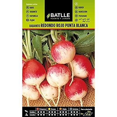 BATLLE - Rabanito - rode radijs rond, witte punt - Zaden BATLLE - Rabanito - rode radijs rond, witte punt - Zaden