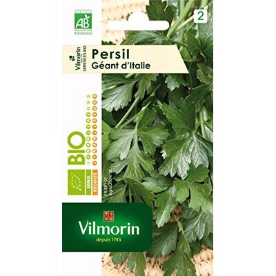 Vilmorin Grote peterselie, groen Aromagras, geurbladeren, halfschaduw, eenvoudige kweek Vilmorin Grote peterselie, groen Aromagras, geurbladeren, halfschaduw, eenvoudige kweek