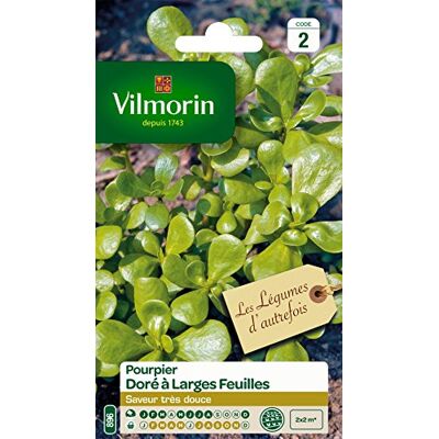 Vilmorin 3875042 Gouden karton, groen, 90 x 2 x 140 cm Salade, zonnige blootstelling, brede bladeren, goudkleurig, knapperig, vlezig, zoete smaak Vilmorin 3875042 Gouden karton, groen, 90 x 2 x 140 cm Salade, zonnige blootstelling, brede bladeren, goudkleurig, knapperig, vlezig, zoete smaak