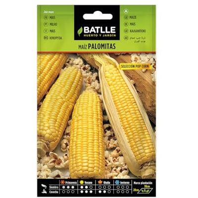 Semillas Batlle Batlle kruidenzaden Pop Corn Mais (zaden 180cm) Semillas Batlle Batlle kruidenzaden Pop Corn Mais (zaden 180cm)