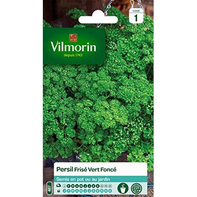 Vilmorin Peterselie gekruld donkergroen Aromagras, eenvoudige kweken, in pot of volle grond Vilmorin Peterselie gekruld donkergroen Aromagras, eenvoudige kweken, in pot of volle grond