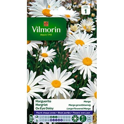 Vilmorin 5217241 Chrysanthemum Grande Margerite, wit, 90 x 2 x 160 cm Vilmorin 5217241 Chrysanthemum Grande Margerite, wit, 90 x 2 x 160 cm