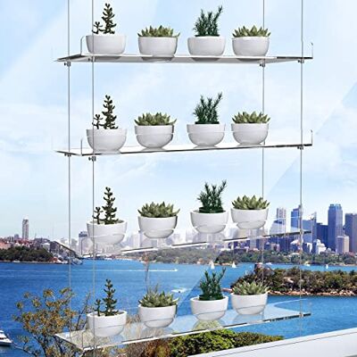 ZerzSemp Hangende acryl plantenplanken voor ramen, in hoogte verstelbare heldere hangende indoor ramen muur opknoping plantenstandaard voor raam kweken kruiden, bloem ZerzSemp Hangende acryl plantenplanken voor ramen, in hoogte verstelbare heldere hangende indoor ramen muur opknoping plantenstandaard voor raam kweken kruiden, bloem