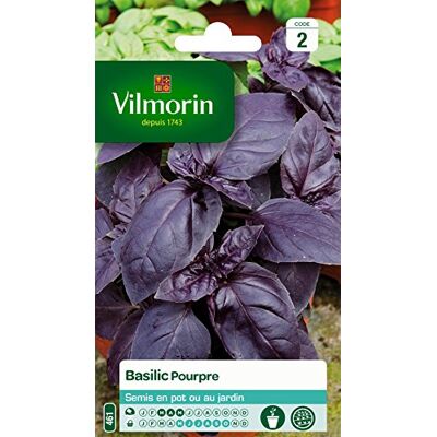 VILMORIN Paarse Basilicumzaden - Kruidenzaden VILMORIN Paarse Basilicumzaden - Kruidenzaden