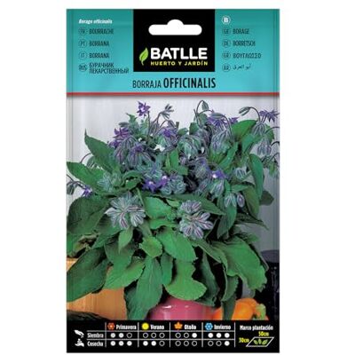 Semillas Batlle Batlle kruidenzaden borage officinalis (zaden 50cm) komkommerkruid Semillas Batlle Batlle kruidenzaden borage officinalis (zaden 50cm) komkommerkruid