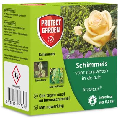 PROTECT GARDEN Rosacur Concentraat 50 ml Schimmel Bestrijdingsmiddel Voor Sierplanten in deTuin Goed Voor 12,5 L Spray Bestrijdingsmiddel Ideaal voor Rozen Schimmels Bestrijden PROTECT GARDEN Rosacur Concentraat 50 ml Schimmel Bestrijdingsmiddel Voor Sierplanten in deTuin Goed Voor 12,5 L Spray Bestrijdingsmiddel Ideaal voor Rozen Schimmels Bestrijden
