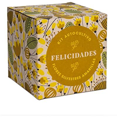 Resetea Zelfkweekset, zeg het met bloemen, hartelijke felicitatie, gouden muurbloem, bessen en vulneraria. Resetea Zelfkweekset, zeg het met bloemen, hartelijke felicitatie, gouden muurbloem, bessen en vulneraria.