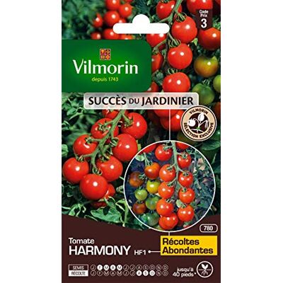 Vilmorin Harmony Tomaat vroege variëteit krachtig opbrengst tot 2-4 kg per voet- Cocktailtype Sappig en smakelijk vruchtvlees resistent tegen ziekten Ideaal als aperitief Vilmorin Harmony Tomaat vroege variëteit krachtig opbrengst tot 2-4 kg per voet- Cocktailtype Sappig en smakelijk vruchtvlees resistent tegen ziekten Ideaal als aperitief
