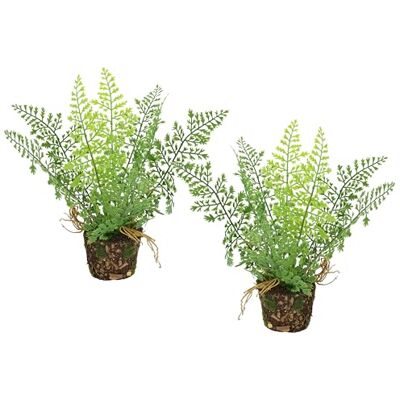 Flair Flower Kunstbosvaren in pot, 24 cm, set van 2, Boston varen, potplanten, varen, struiken, varen, planten, bloemen zoals echte decoratie, zijdeplant, decoratie, groene plant, kunstplant, kunstbloem, bosplant, Flair Flower Kunstbosvaren in pot, 24 cm, set van 2, Boston varen, potplanten, varen, struiken, varen, planten, bloemen zoals echte decoratie, zijdeplant, decoratie, groene plant, kunstplant, kunstbloem, bosplant,