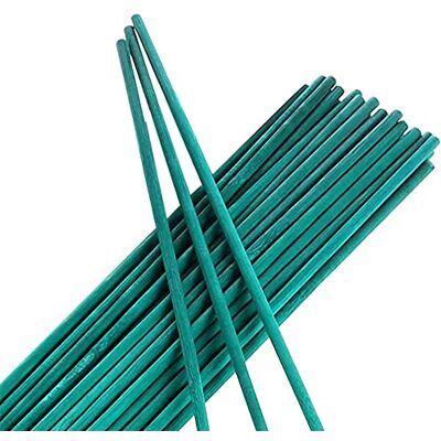 TENAX Bamboestokjes, 50 cm, groen, steunstaven voor potplanten, 15 stuks, mini-steunen van natuurlijk bamboe ter ondersteuning van potbloemen TENAX Bamboestokjes, 50 cm, groen, steunstaven voor potplanten, 15 stuks, mini-steunen van natuurlijk bamboe ter ondersteuning van potbloemen