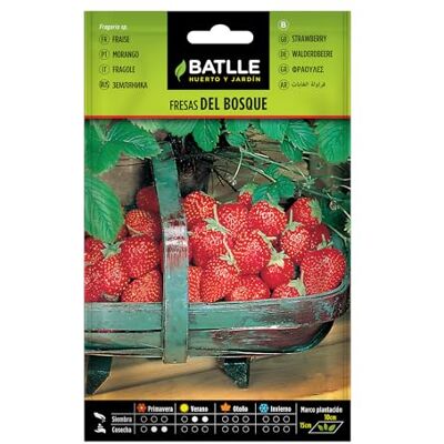 Semillas Batlle Batlle kruidenzaden bosaardbeien (zaden 20-25cm) Semillas Batlle Batlle kruidenzaden bosaardbeien (zaden 20-25cm)