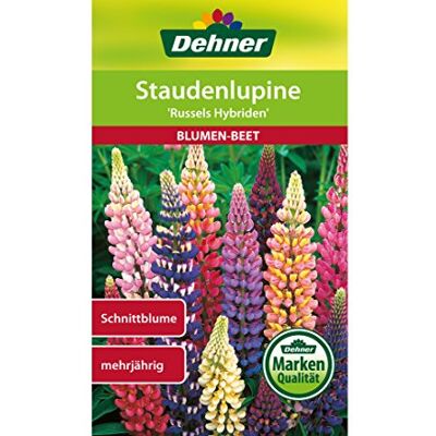 Dehner Russels Hybriden bloemenzaad, pak van 5 stuks (5 x 2 g) Dehner Russels Hybriden bloemenzaad, pak van 5 stuks (5 x 2 g)