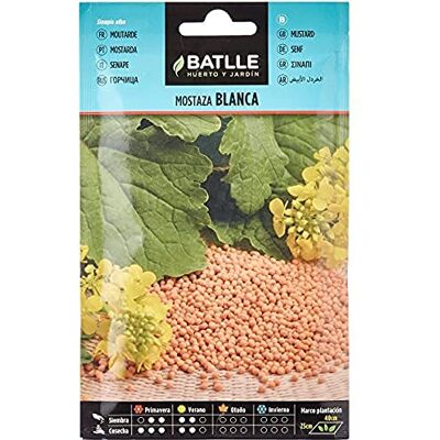 Semillas Batlle Batlle kruidenzaden mosterd wit (zaden 40-55cm) Semillas Batlle Batlle kruidenzaden mosterd wit (zaden 40-55cm)