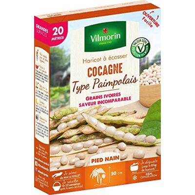 Vilmorin Cocagne Bean type Paimpolais Dwerg Serie 20m Dwerg, Groen Vilmorin Cocagne Bean type Paimpolais Dwerg Serie 20m Dwerg, Groen
