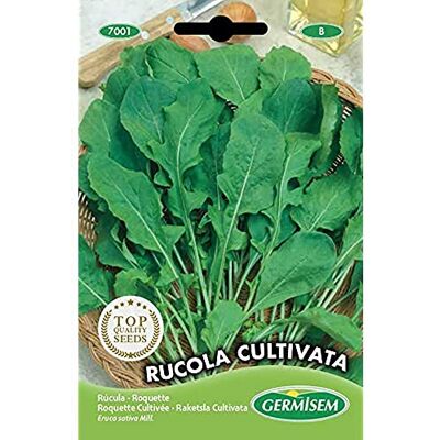 Germisem EC7001 Rucola Cultivata Rucola Zaden 8 g Germisem EC7001 Rucola Cultivata Rucola Zaden 8 g