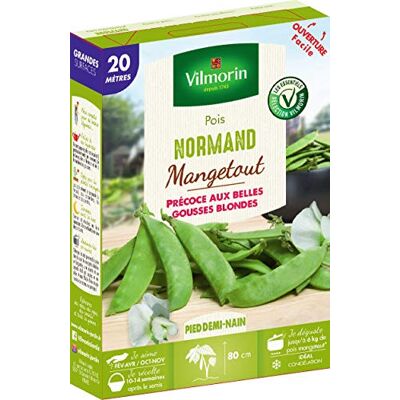 Vilmorin Normand Pois Box serie 20 m, groen Vilmorin Normand Pois Box serie 20 m, groen