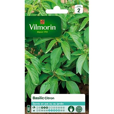 Vilmorin Basilicum Lemon Vilmorin Basilicum Lemon
