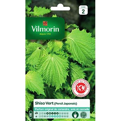 Vilmorin Shiso groen Gemakkelijk te slagen, 50 cm, zaaien april tot augustus, blootstelling aan de zon halfschaduw, oogst mei tot september Vilmorin Shiso groen Gemakkelijk te slagen, 50 cm, zaaien april tot augustus, blootstelling aan de zon halfschaduw, oogst mei tot september
