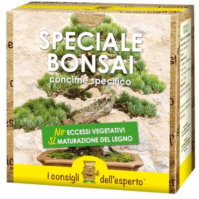 Dell Speciale Bonsai Dell Speciale Bonsai
