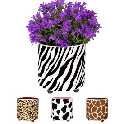 Fisura – Originele bloempot met zebraprint. Decoratieve keramische bloempot met pootjes voor binnen. Bloempot voor cactus, bloemen of vetplanten. Afmeting: 13 x 12,5 cm Fisura – Originele bloempot met zebraprint. Decoratieve keramische bloempot met pootjes voor binnen. Bloempot voor cactus, bloemen of vetplanten. Afmeting: 13 x 12,5 cm