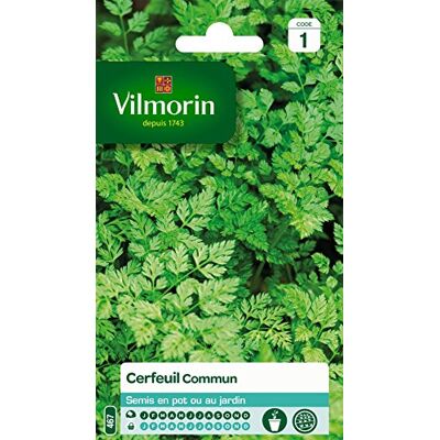 Vilmorin 3235044 gewone kervel, groen, 90 x 2 x 140 cm Vilmorin 3235044 gewone kervel, groen, 90 x 2 x 140 cm