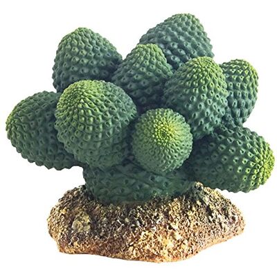 Hobby 37018 Cactus Atacamma, hoogte 7 cm Hobby 37018 Cactus Atacamma, hoogte 7 cm