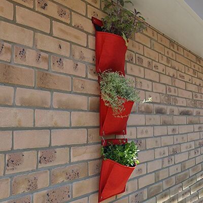 VegTrug fhp01bk Set van vilten kruidenpotjes, zwart (3-delig)-P 25x5x97 cm rood VegTrug fhp01bk Set van vilten kruidenpotjes, zwart (3-delig)-P 25x5x97 cm rood