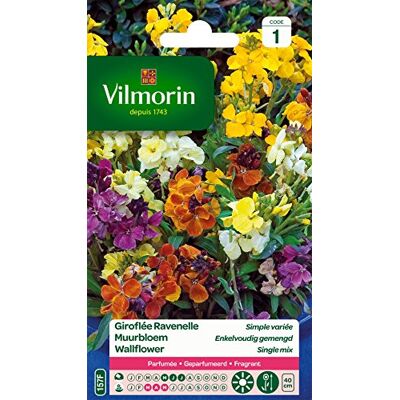 Vilmorin 5293041 muurbloem, meerkleurig, 90 x 2 x 160 cm Geparfumeerd, massieve toepassingen laag, randen, tweejarige variëteit, gevarieerd Vilmorin 5293041 muurbloem, meerkleurig, 90 x 2 x 160 cm Geparfumeerd, massieve toepassingen laag, randen, tweejarige variëteit, gevarieerd