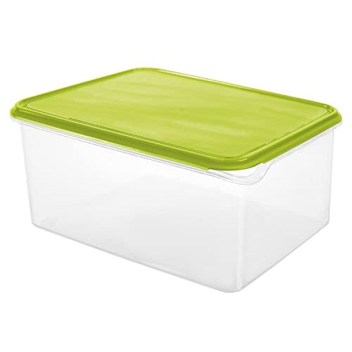 Rotho Rondo Opslagtank 8l met deksel, Kunststof (PP) BPA-vrij, groen/wit, 8l (31.5 x 24.0 x 14.5 cm)