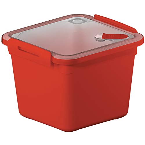 Rotho Memory Microgolfblik 1.6l met deksel en ventiel, Kunststof (PP) BPA-vrij, rood, 1.6l (16.0 x 15.0 x 12.1 cm)