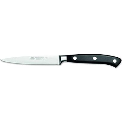 Sanelli Ergoforge Professionele Schilmes 10cm - Mes Sanelli Ergoforge Professionele Schilmes 10cm - Mes