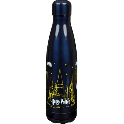 Undercover Harry Potter dubbelwandige roestvrijstalen thermosfles lekvrij voor jongeren 500ml ideaal voor onderweg Undercover Harry Potter dubbelwandige roestvrijstalen thermosfles lekvrij voor jongeren 500ml ideaal voor onderweg