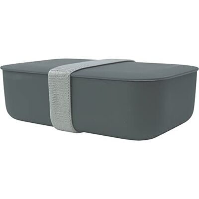 Cao Zwarte lunchbox, 1,4 l, voor volwassenen, uniseks, 19,2 x 12,8 x 5,7 cm Cao Zwarte lunchbox, 1,4 l, voor volwassenen, uniseks, 19,2 x 12,8 x 5,7 cm