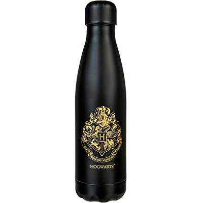 Undercover Harry Potter roestvrijstalen thermosfles lekvrij en ideaal voor onderweg dubbelwandig roestvrij staal 450 ml Harry Potter merchandise Undercover Harry Potter roestvrijstalen thermosfles lekvrij en ideaal voor onderweg dubbelwandig roestvrij staal 450 ml Harry Potter merchandise