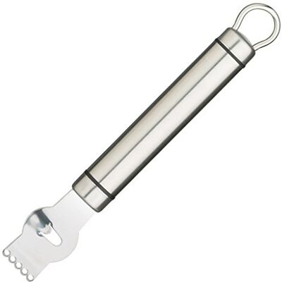 KitchenCraft KC Blue Professional Zesteur met Canelle-mes, Ovaal Handvat en Ophanglus, Roestvrij Staal, 21 centimeter Zilver KitchenCraft KC Blue Professional Zesteur met Canelle-mes, Ovaal Handvat en Ophanglus, Roestvrij Staal, 21 centimeter Zilver