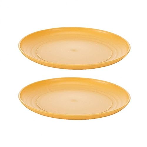 ANMUDAN Dinerborden 2-pack dinerborden, fruitborden, snackborden, broodborden, stapelbare plastic dinerborden, keukenservies Serviesgoed (Color : A)