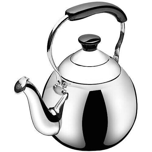 NBHDWF Whistling Kettle Roestvrijstalen Kookketels Zilveren Theepot Fluitende Ketel Theepot Voor Huiskeuken Roestvrijstalen Ketel/Color/3L