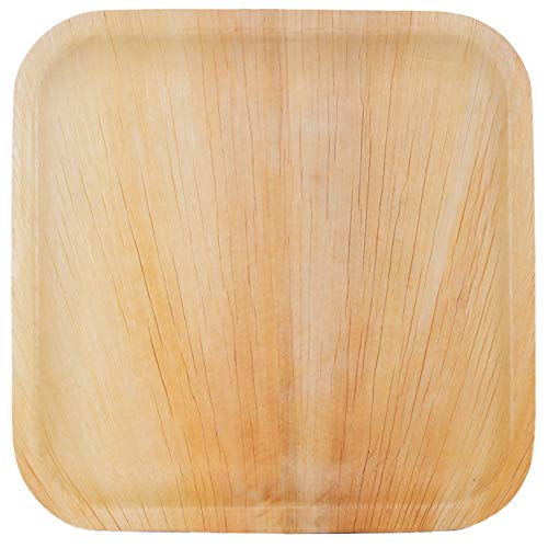 Palmgerechten 300 Palm Blad plaat wegwerpplaat hoekig 25x25 cm, gemaakt van Palmblad 100% composteerbaar, eco-vriendelijke stijlvolle Palm Leaf Tafelgerei Set voor BBQ, Party, Grilling Outdoor