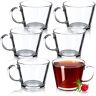 KADAX Theeglazen, waterglazen met handvat, set van 6, glazen kopjes, sapglazen, glazen, glazen voor thee, koffie, water, ijsthee, sap, drinkglazen, koffieglazen (Pia, 380 ml)