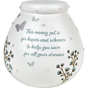 Pot Of Dreams Pot van Dromen Bloemig Handgeschilderd Save & Smash Keramische Spaarpot Eco Vriendelijk & Recyclebaar Met Boodschap Perfect Decoratief Cadeau en Bespaar Voor Verjaardagen Pot Of Dreams Pot van Dromen Bloemig Handgeschilderd Save & Smash Keramische Spaarpot Eco Vriendelijk & Recyclebaar Met Boodschap Perfect Decoratief Cadeau en Bespaar Voor Verjaardagen